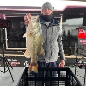 Meet your Posher, Justin